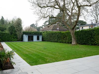 Picture 27